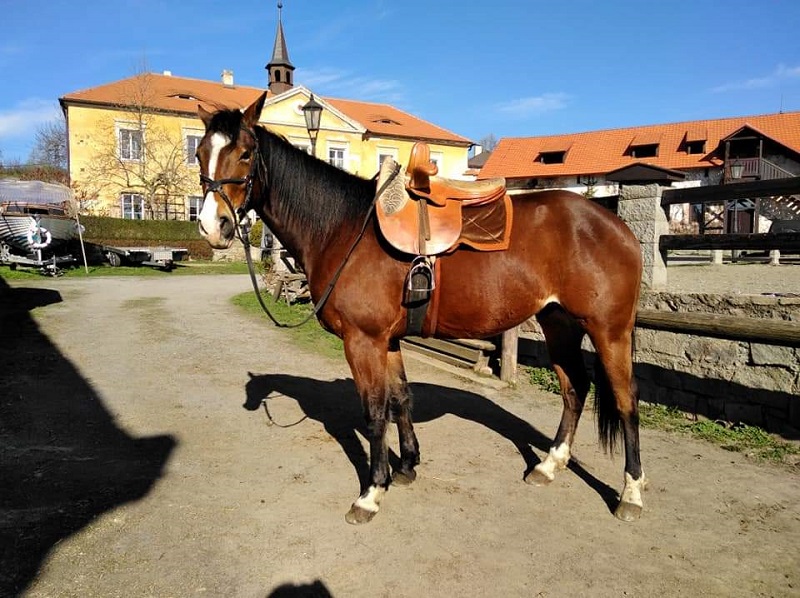 Zephyr ( GUN EM BREEZE )
